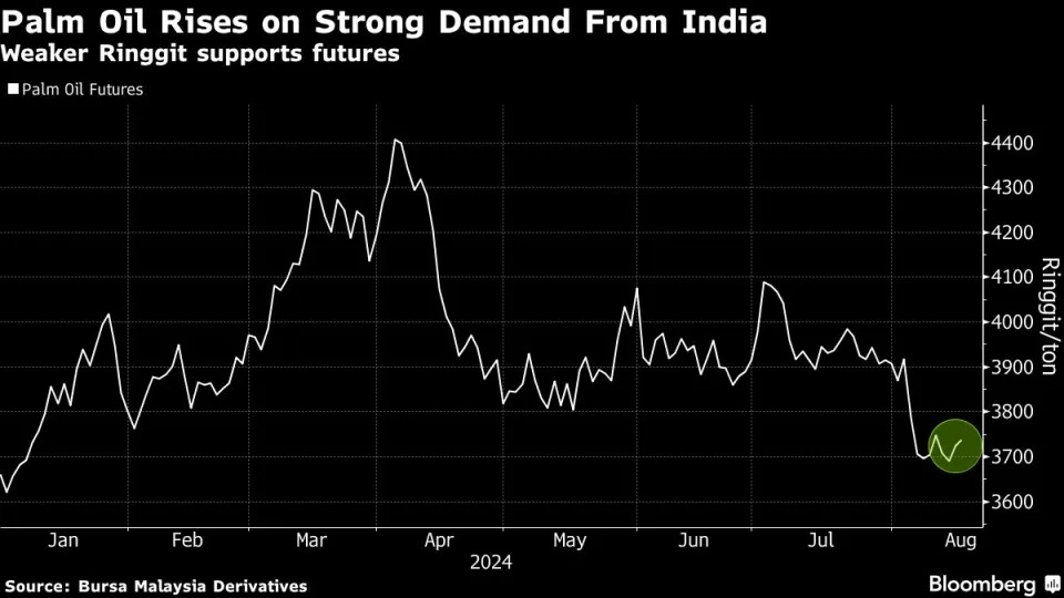 Palm Oil Extends Gains on Strong Indian Demand and Weak Ringgit