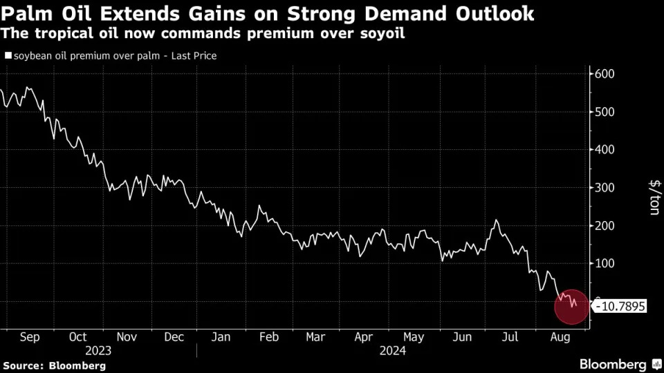 Palm Oil Climbs to One-Month High on Stronger Demand Outlook