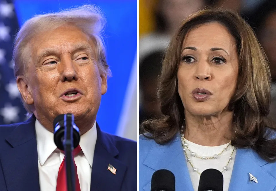 Raise taxes on the rich or cut them? Harris, Trump differ on how to boost the US economy