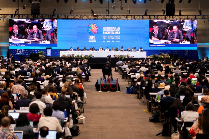 Public funding for nature conservation stalls at COP16, eyes on private investment