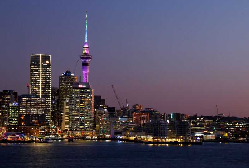 New Zealand central bank paints grim economic outlook