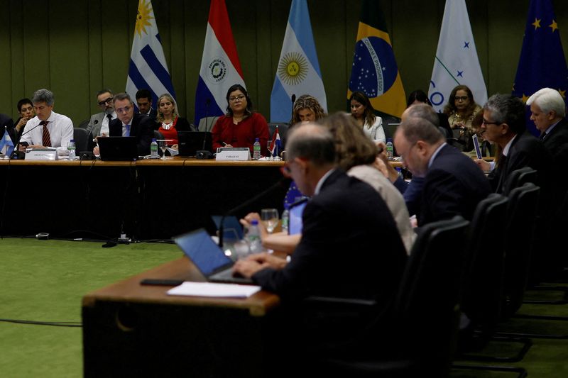 EU official expects Mercosur trade deal this year, dismisses changes on deforestation law