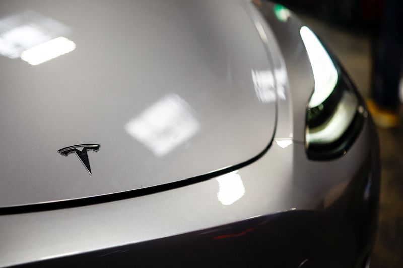 India to expand EV manufacturing incentives after Tesla disappointment, source says