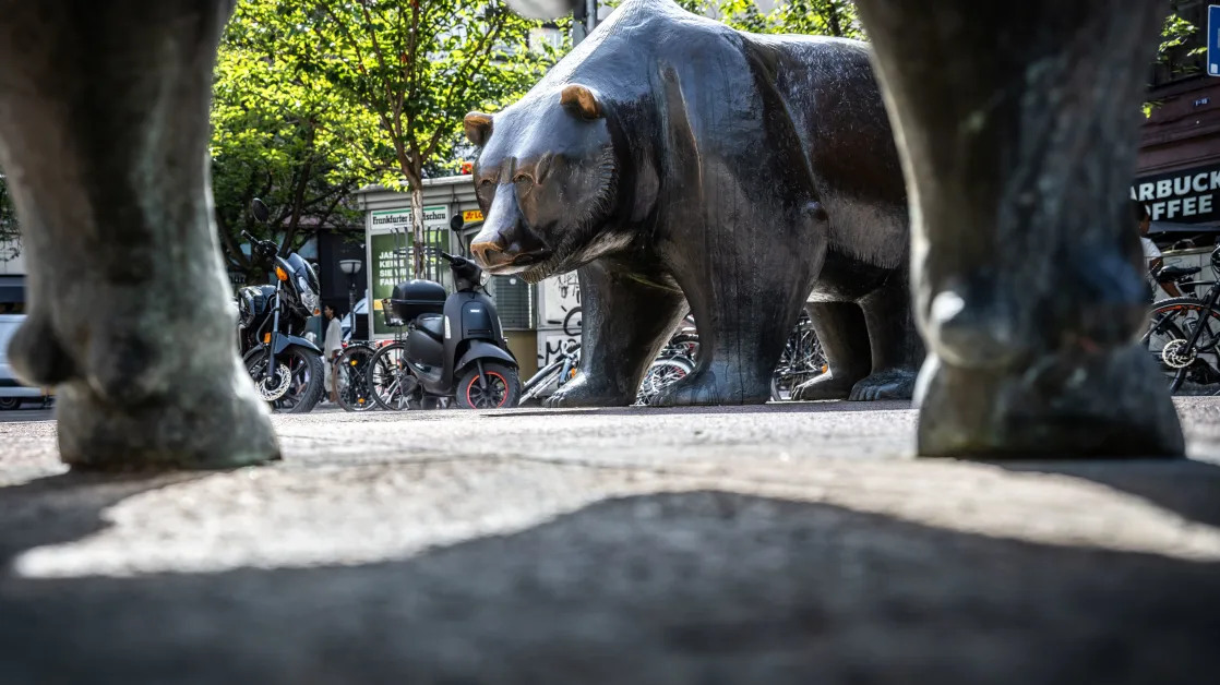 Why the last bears on Wall Street are worried about the stock market in 2025