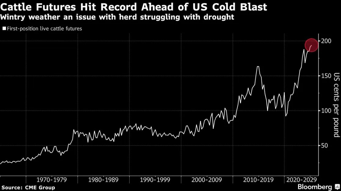 Cattle Futures Rise to Record With Cold Blast to Hit Beef Supply