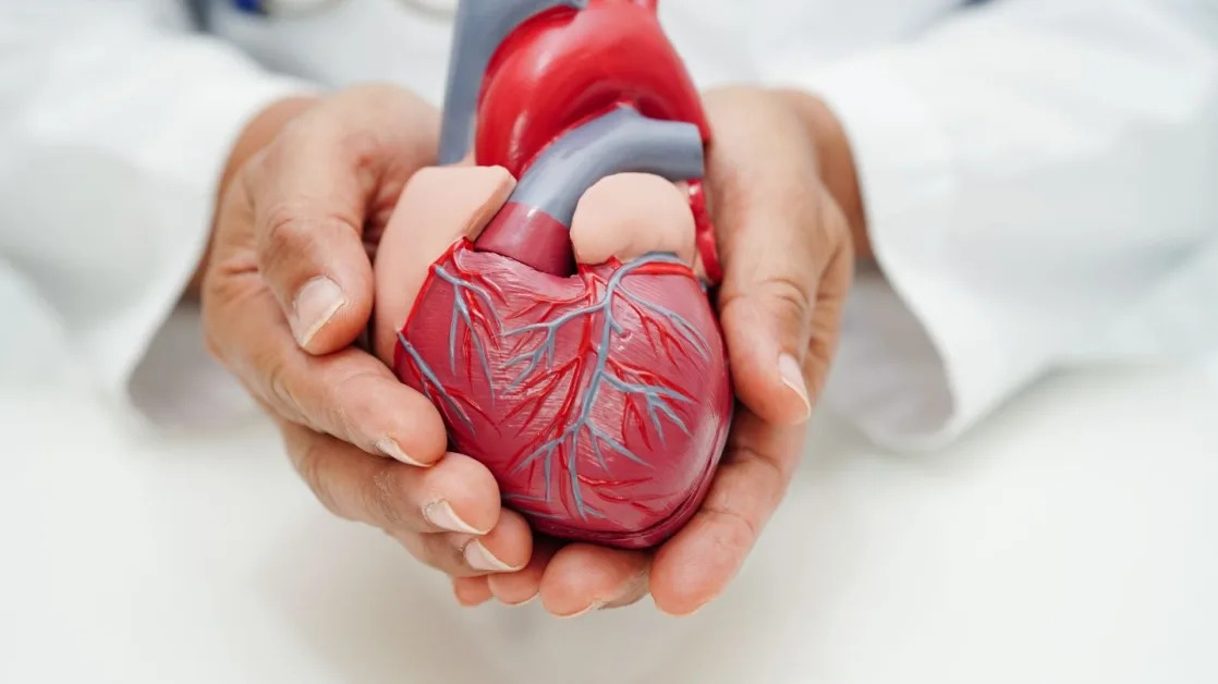 Heart failure market estimated to grow, driven by pipeline agents aimed at unmet needs