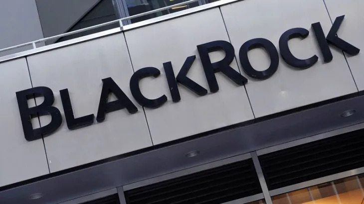 BlackRock quits climate group as Wall Street lowers environmental profile