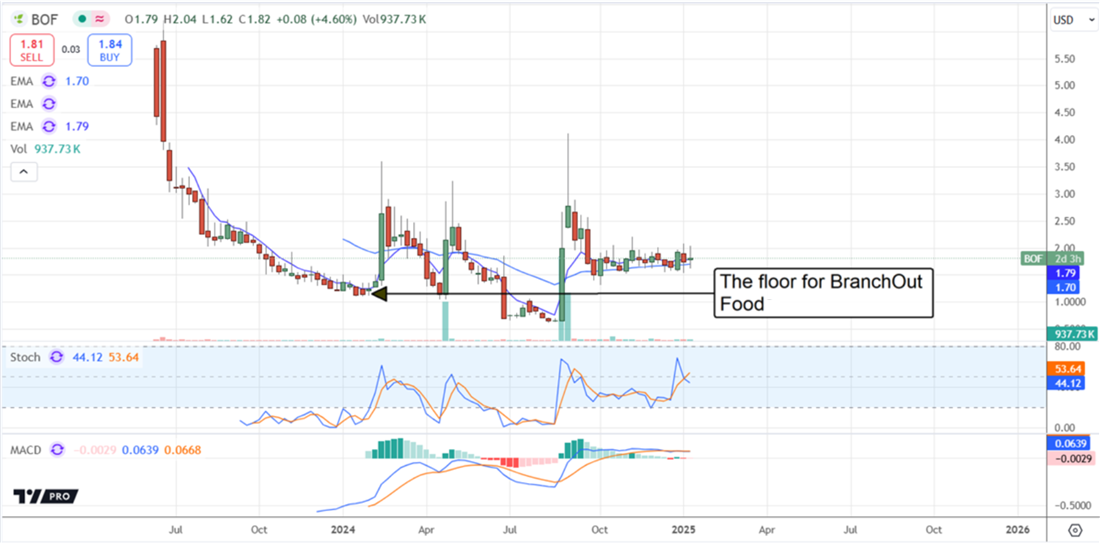 BranchOut Food: Why This Penny Stock Won’t Stay Cheap for Long