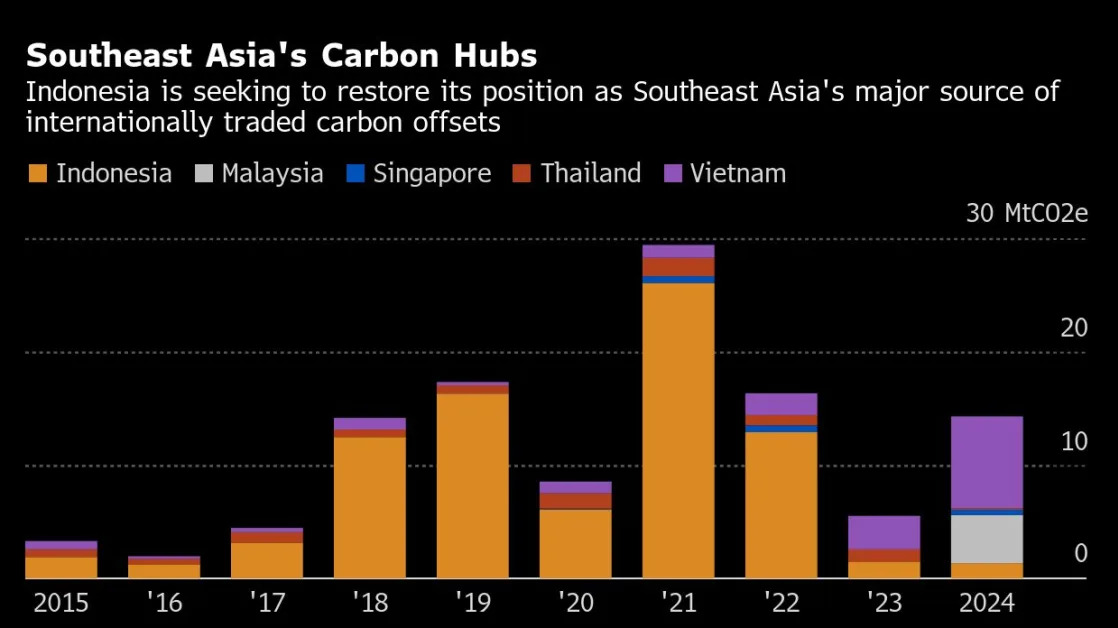 Indonesia Opens Domestic Carbon Market to Global Investors