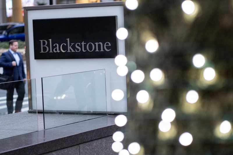 Blackstone to buy $1 billion Virginia power plant near data centers