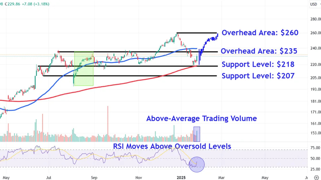 Apple Stock Avoided the DeepSeek Selloff—Watch These Key Price Levels