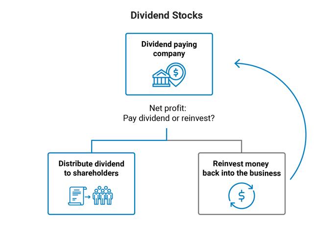 How do dividends work